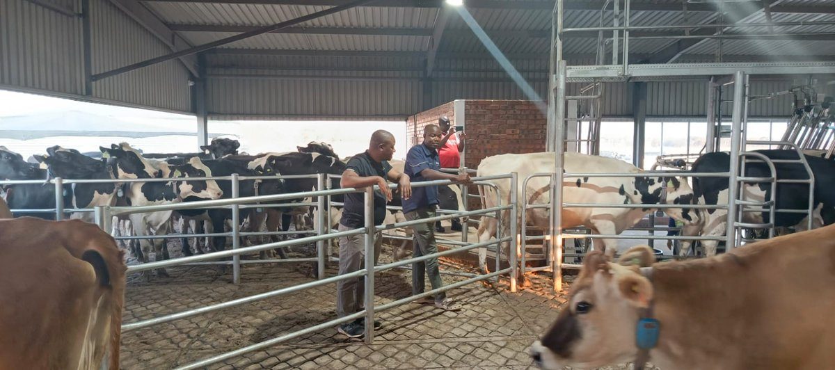 Innovation in the Field: Victor Farms, Research, Development, and the Future of Farming
