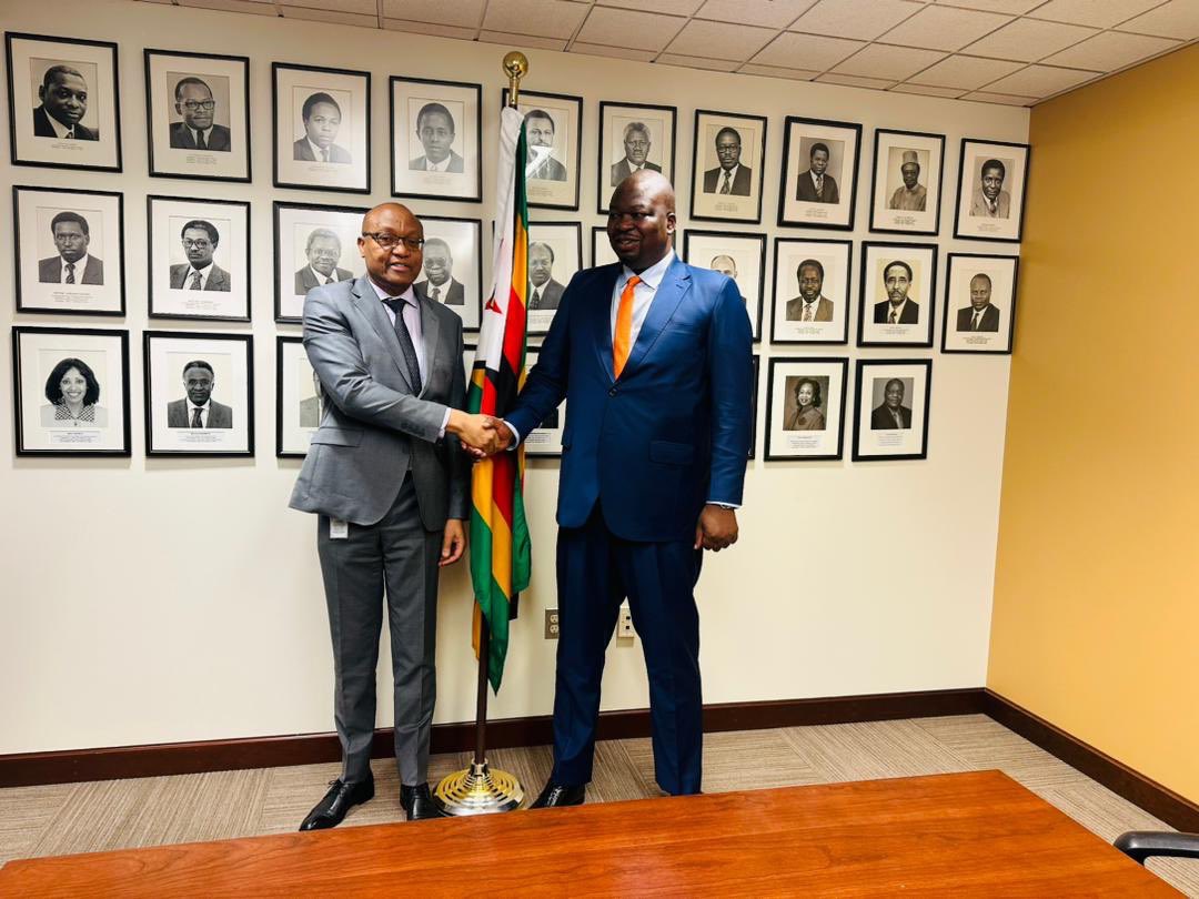 From Boardroom Credibility to National Capital Inflows: Guvamatanga's Investment Diplomacy